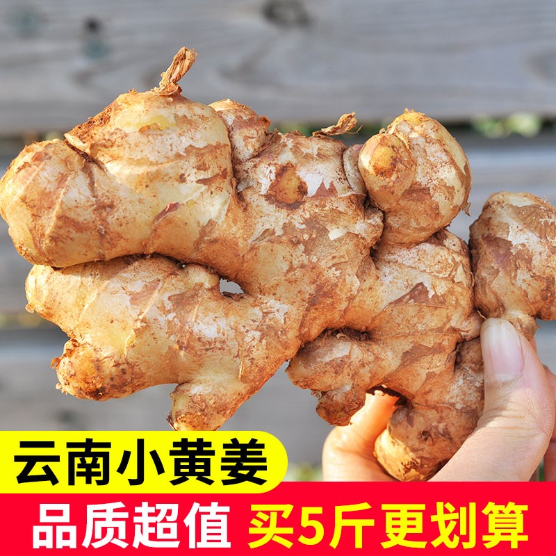 云南文山小黄姜高山新鲜生姜现挖沙姜带泥老姜山地土姜辛辣月子姜