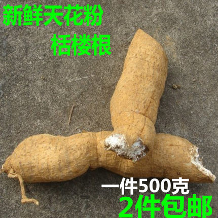 新鲜天花粉现挖栝蒌根花粉楼根瓜蒌根栝楼根另有藤 叶2件包邮