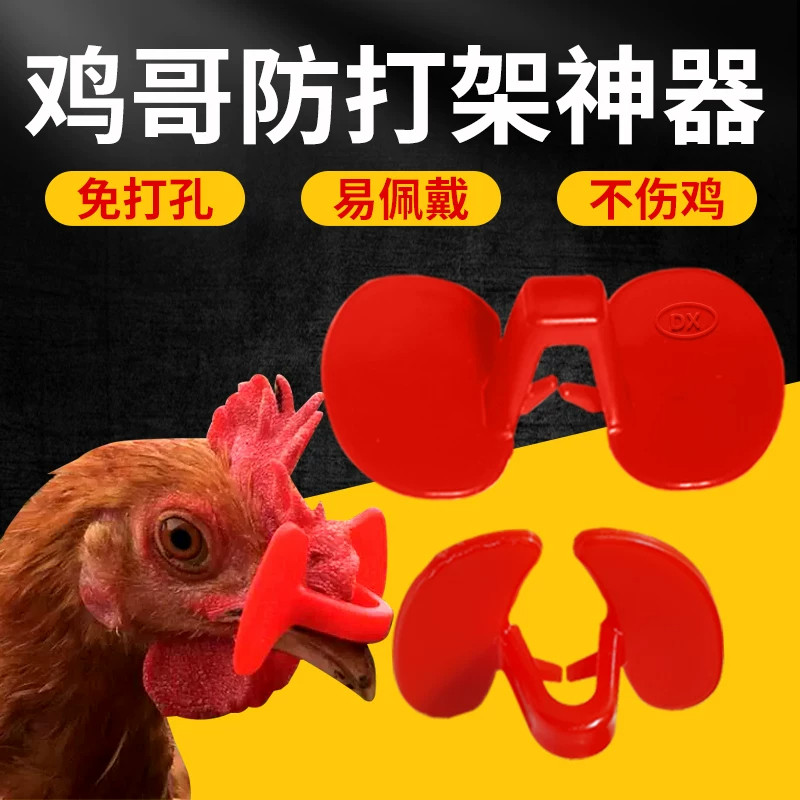 鸡哥防打架免打孔夹鼻夹不伤鸡