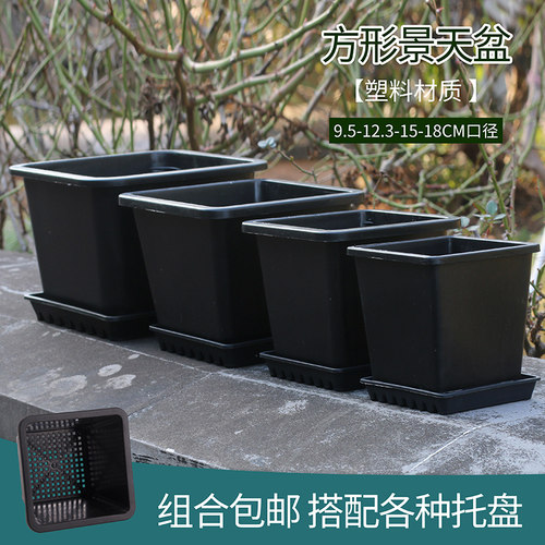 方形简约塑料景天盆大号老桩