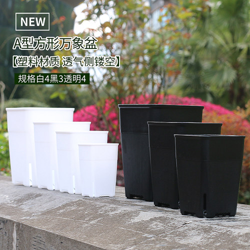 塑料田园多肉花盆方形万象盆