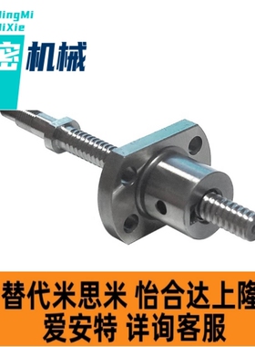滚珠丝杠丝杆BSSR/BSSRK1002 0804 1010 2810 1205 2505 2510