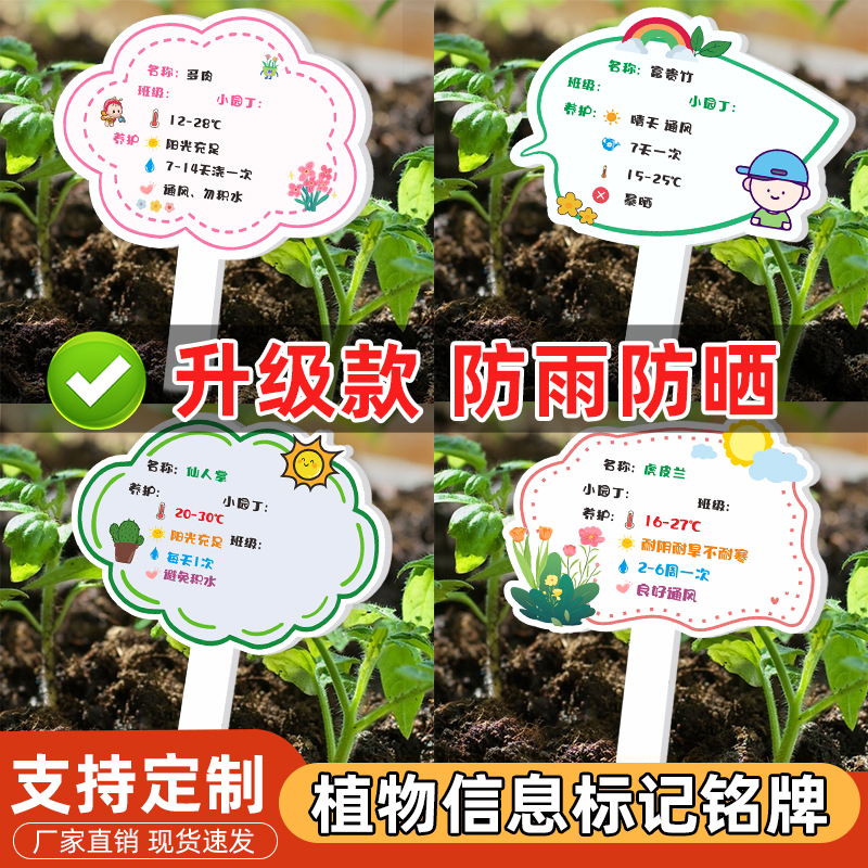 幼儿园植物标记花盆牌子学校花卉盆栽牌多肉黄金葛绿植标签标识牌