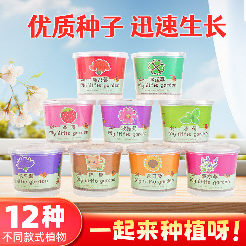 儿童种植创意小盆栽礼物桌面迷你绿植室内好养活种植种子生长观察,鲜花速递/花卉仿真/绿植园艺,苔藓微景观,淘宝优惠券,粉丝福利购,淘宝优惠卷
