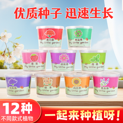 创意室内生长观察桌面儿童种植