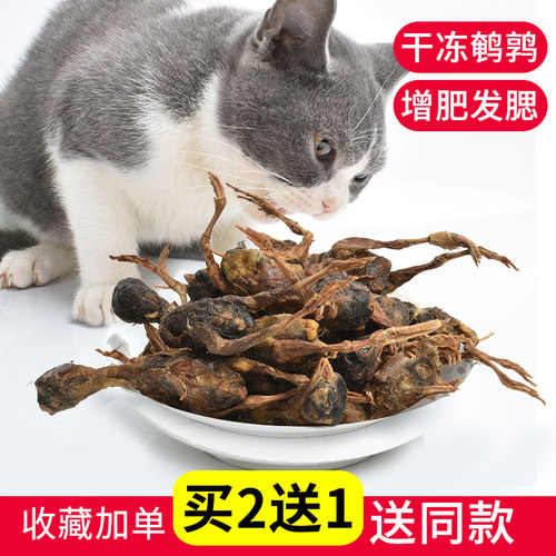 宠物营养增肥补钙冻肉干猫零食