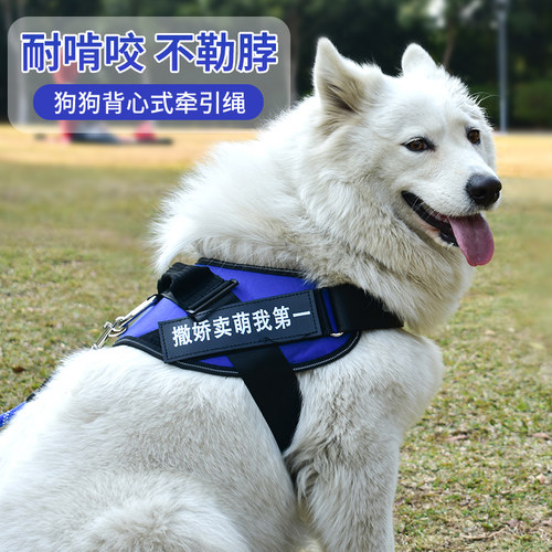 小型金毛链子防咬断狗狗牵引绳
