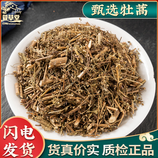 牡蒿中药材牡蒿500g包邮 正品新鲜干货 齐头蒿 猴掌草 油蒿 牧高