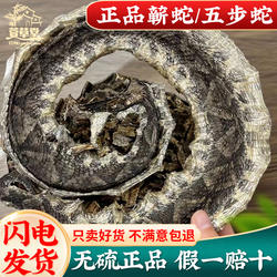 蕲蛇中药材100g克包邮蕲蛇大白花蛇整条大蕲蛇正品干货可免费磨粉