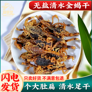 沂蒙十足全干全蝎中药材全蝎无盐清水蝎子全虫蝎子包邮干度可打粉