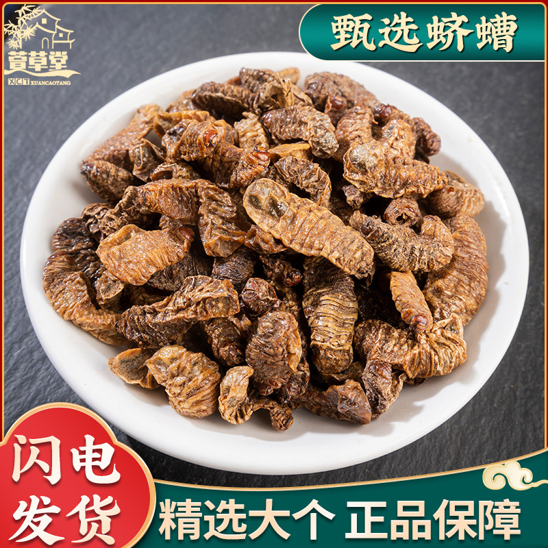 蛴螬中药材500克 粪虫 地蚕 核桃虫 应条 乳齐 老母虫 新货无异味