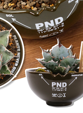 pnd原创军事风块根植物大口花盆绿植多肉大口盆景潮流盆栽透气