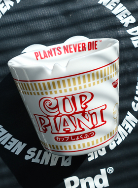 pnd原创恶搞泡面块根植物陶瓷花盆阳台桌面创意多肉方便面盆景