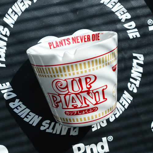 pnd原创恶搞泡面块根植物陶瓷花盆阳台桌面创意多肉方便面盆景