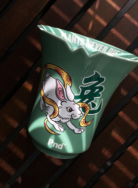 pnd原创兔年限定夜光块根植物潮流陶瓷花盆复古绿色多肉卡通日式