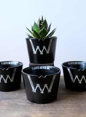 pnd原创骨头黑色陶瓷块根花盆多肉植物透气万象大盆潮流盆景盆栽