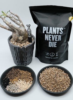 pnd块根植物专用土造景天然多肉营养土化妆沙透气景天仙人球配土