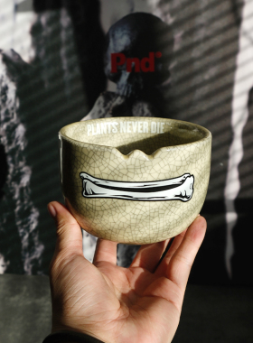 pnd原创白骨头块根植物花盆冰裂做旧陶瓷复古透气多肉盆潮流包邮