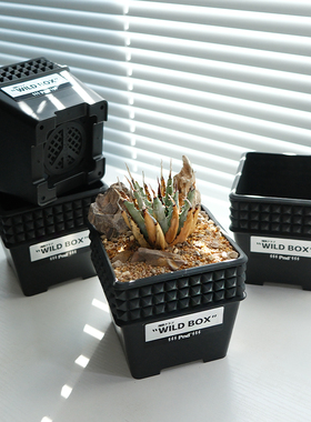 pnd原创铆钉加厚塑料花盆块根植物造景方型龙舌兰多肉仙人掌透气