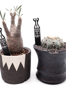 PLAN-T块根植物多肉srl标签花卉园艺藤原浩插地牌非neighborhood