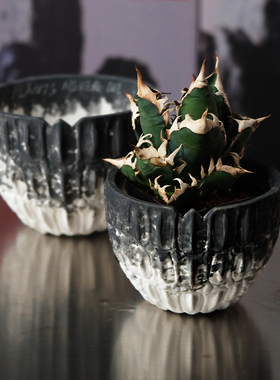 pnd原创怪兽泼墨块根植物花盆怪兽多肉大口圆盆白色透气潮玩日式