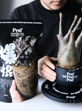 pnd块根植物专用颗粒土营养土多肉盆景龙舌兰象牙宫龟甲龙发根土