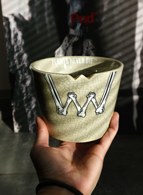 pnd原创白骨头块根植物花盆冰裂做旧陶瓷复古花卉多肉盆潮流包邮