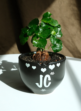 pnd原创块根植物暗黑风jc陶瓷夜光花盆桌面多肉大口透气潮流盆