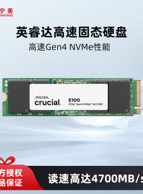 英睿达E100固态硬盘台式电脑笔记本SSD存储M.2 NVME 480G海康1TB