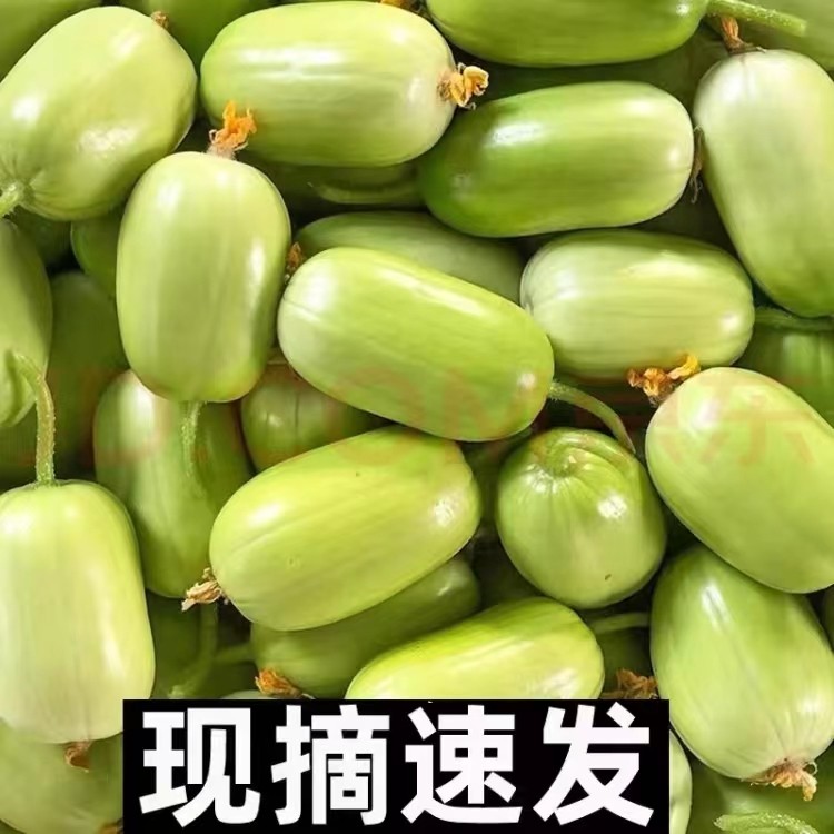 拇指黄瓜  新鲜水果小黄瓜  玉女黄瓜 鲜蔬菜寿光金童玉女瓜新,水产肉类/新鲜蔬果/熟食,黄瓜,淘宝优惠券,粉丝福利购,淘宝优惠卷