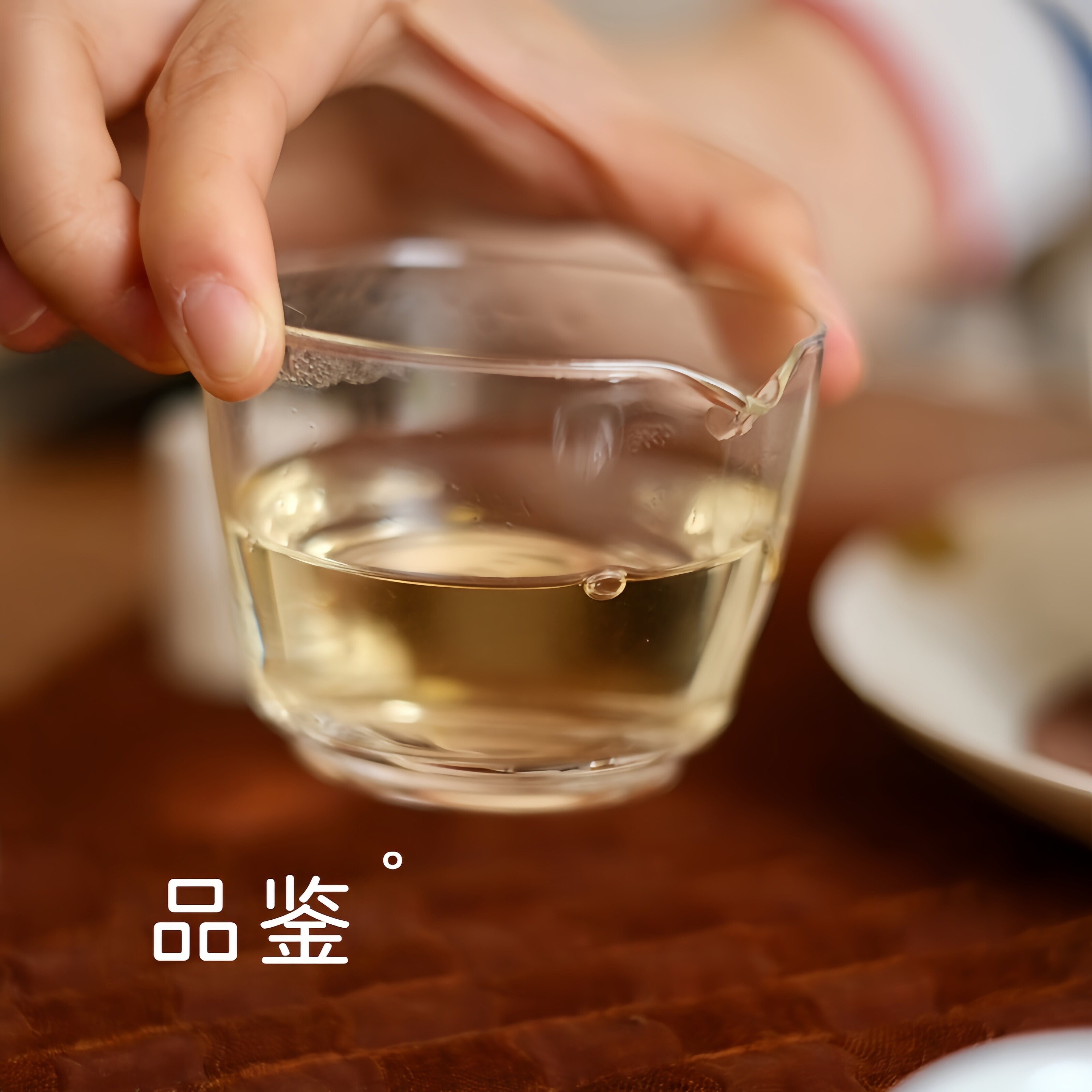 多茶组合品鉴试喝差旅/露营便携