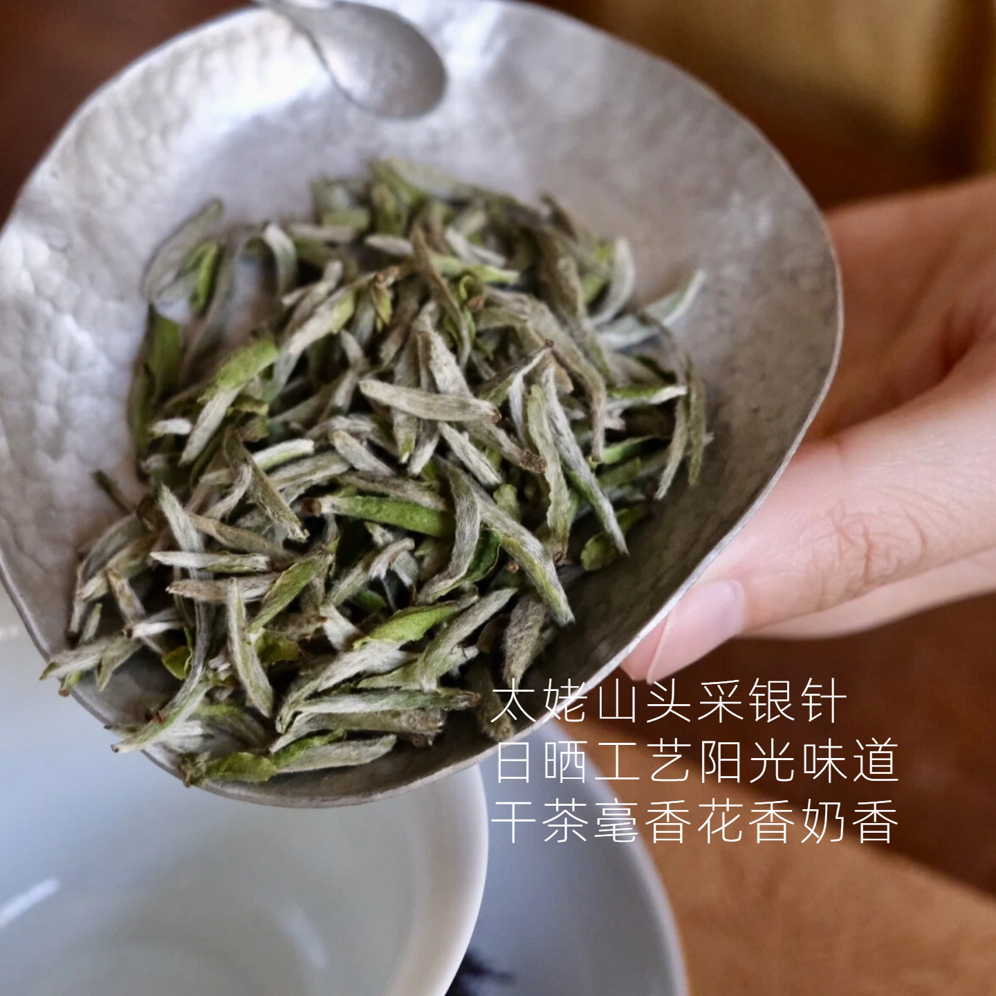 【新品】2026明前太姥山头采银针 福鼎高山白毫银针春茶茶藏茶