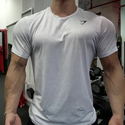 GYMSHARK ARRIVAL速干短袖男冰丝感透气网眼运动弹性修身t恤