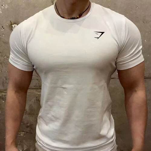 Gymshark critical 健身男弹力棉T恤运动休闲训练透气显身材短袖