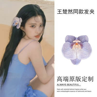 王楚然同款紫色蝴蝶兰发夹女2025年新款度假仿真花朵侧边边夹发饰