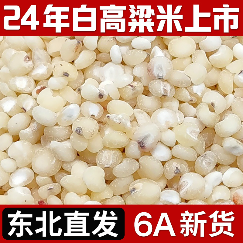 2024年新米东北老品种6A白高粱米