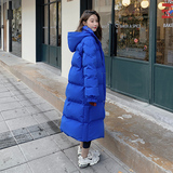 档口现货克莱因蓝两色中戏校服款棉衣转化高266-1008，女装棉衣/棉服，浙宝266