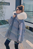 主推性价比高有利润三色三条杠毛领短棉衣266-3838-P125控198，女装棉衣/棉服，浙宝266