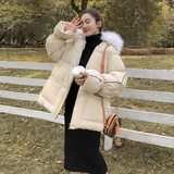 档口现货数据好7788短款棉衣266-8878-P155K238，女装棉衣/棉服，浙宝266