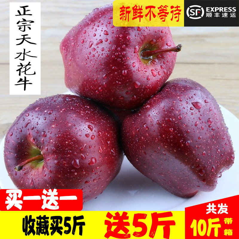 甘肃天水花牛苹果新鲜脆甜水果老人宝宝孕妇刮泥辅食无蜡粉面新果,水产肉类/新鲜蔬果/熟食,苹果,淘宝优惠券,粉丝福利购,淘宝优惠卷