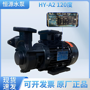 B2各种热水泵摸温机高温泵 恒源HY