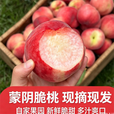 蒙阴脆甜桃子现摘现发