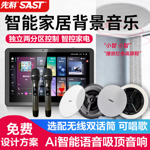 先科吸顶音箱B10客厅店铺专用