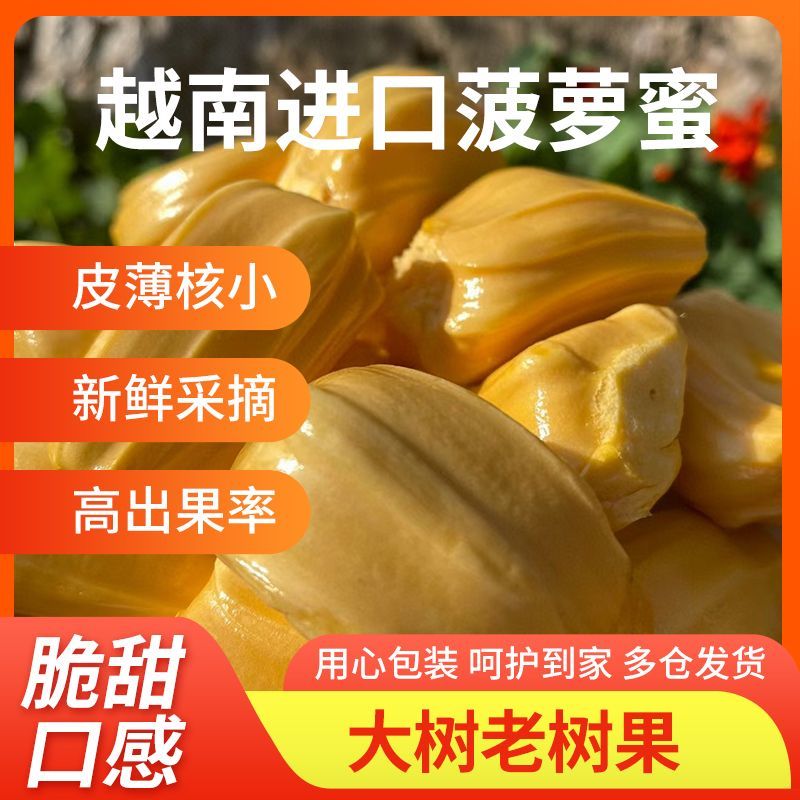 【顺丰包邮】进口越南红黄肉菠萝蜜干苞脆甜新鲜热带水果口岸直发