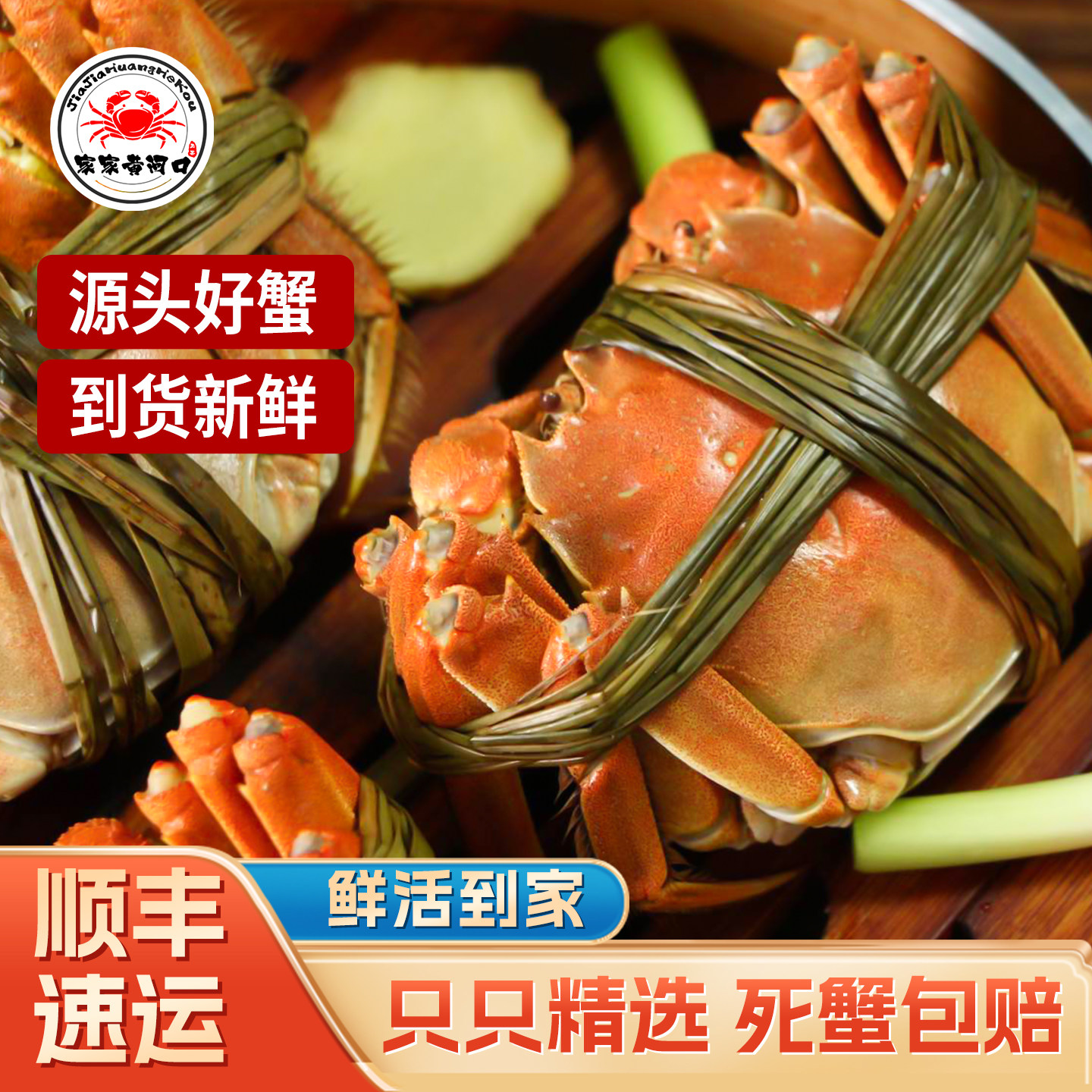 活蟹山东东营黄河口大闸蟹鲜活螃蟹公全母8只10只现货礼盒装顺丰