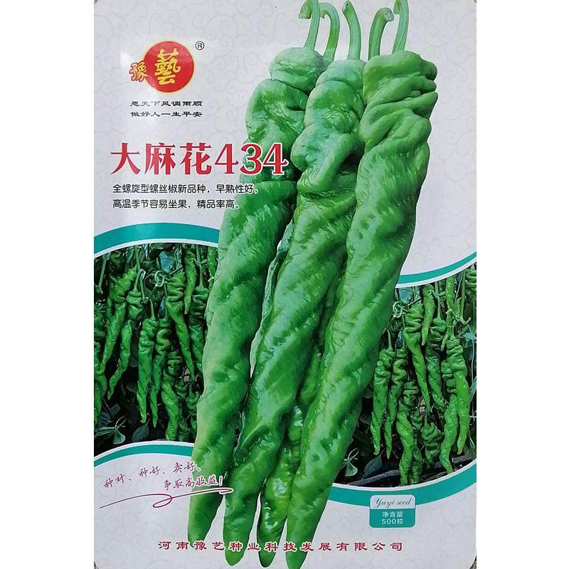 早熟全螺旋型麻面大果螺丝椒种子