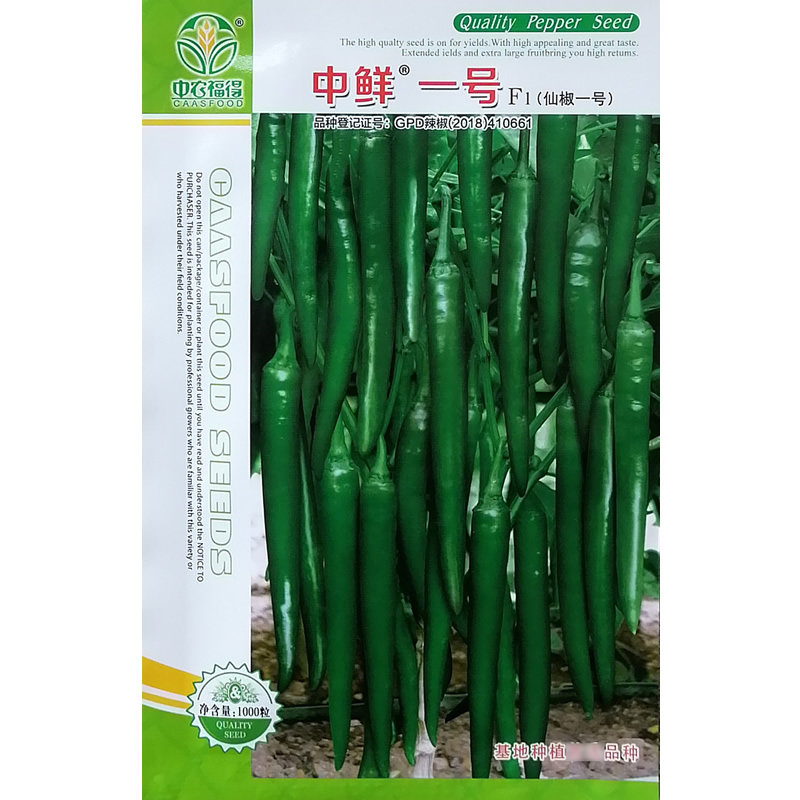 辣椒种子青皮尖椒种籽大棚露地