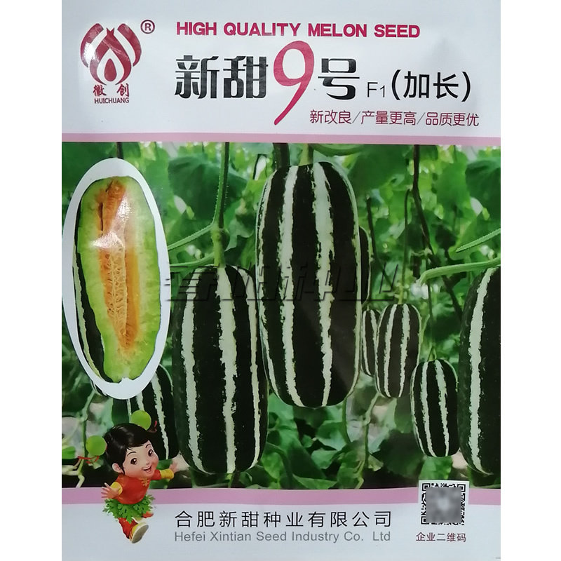 新甜9号薄皮博洋甜瓜种子甜度高果肉厚口感脆酥高产香瓜甜瓜种籽