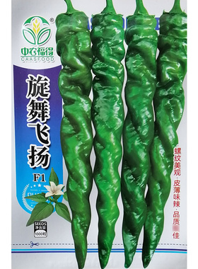 旋舞飞扬大麻花辣椒种子螺丝椒种籽螺纹美观皮薄味辣高产口感好