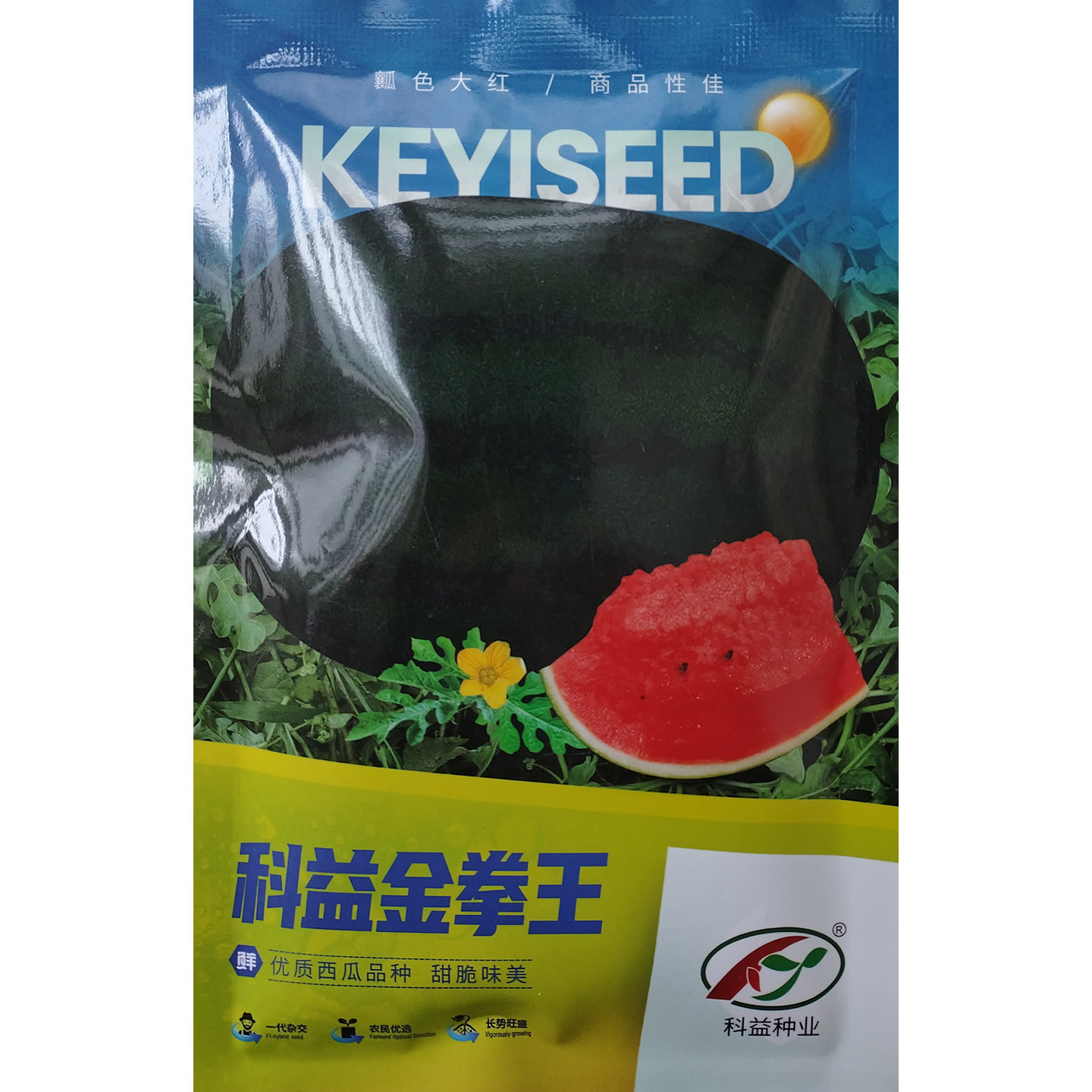 科益金拳王西瓜种子抗病耐涝